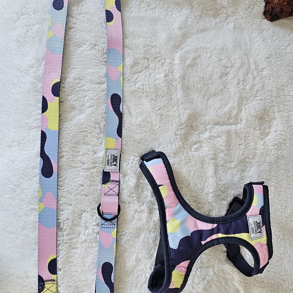 Colorful Dog Harness and Leash Set